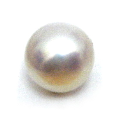 White High Dome Button Pearl